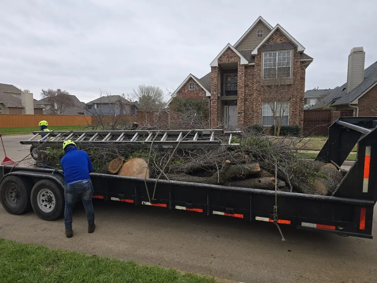 Expert Lot Clearing with proper safety equipment in Buford